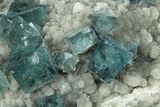 Cubic, Blue-Green Fluorite Crystals on Druzy Quartz - Fluorescent #185466-5